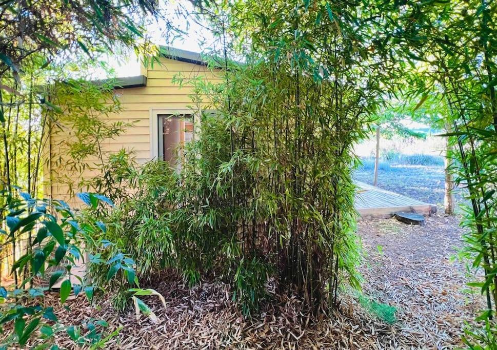Eco Tiny Home & Office For Digital Nomads Vallmoll 외부 사진